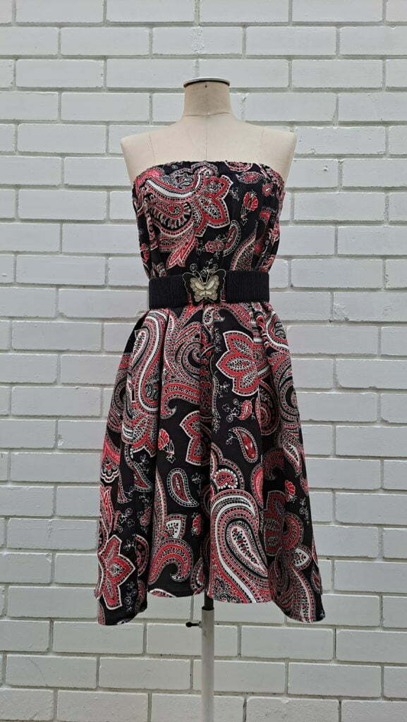 Skirt Dress